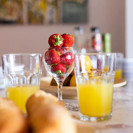 Paraiso Ii Tg Free Wifi *