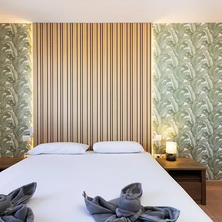 Paraiso Ii Tg Free Wifi